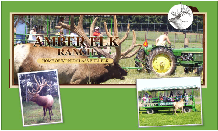 Amber Elk Ranch