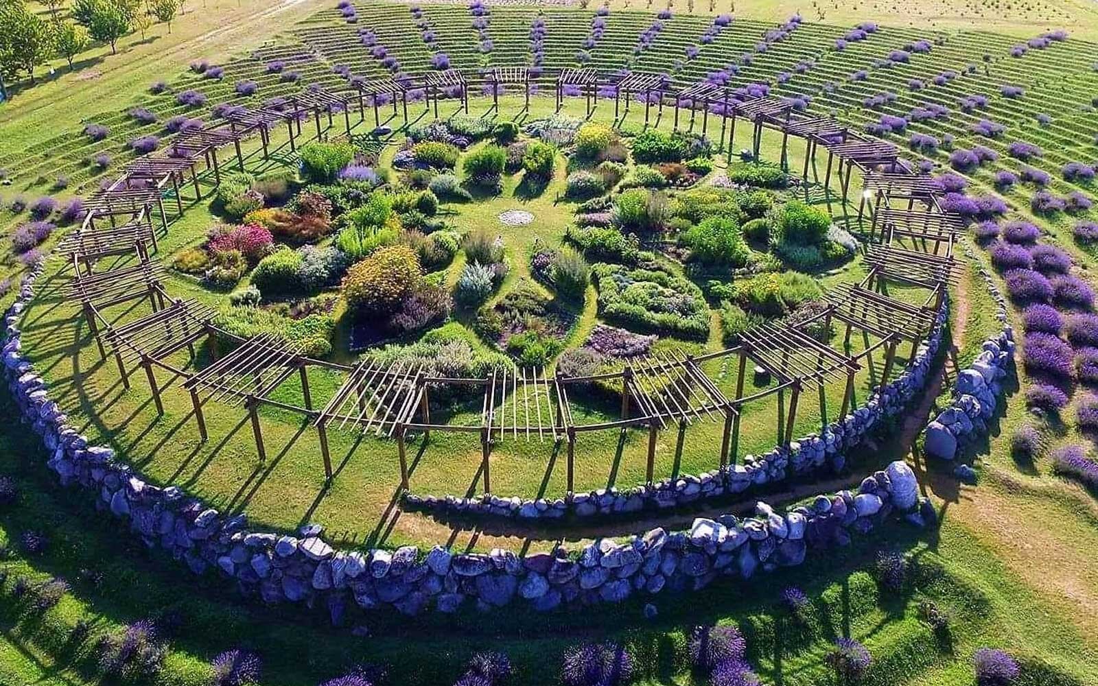 Lavender labyrinth, Michigan